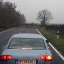 Видео: Бесконечное стадо венгерских оленей перебегало дорогу целую вечность